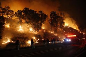 MIDDLETOWN, CA - SEPTEMBER 13: Firefighters with the Marin County Fire Department's Tamalpais Fire Crew monitor a backfire as they battle the Valley Fire on September 13, 2015 near Middletown, California. The fast-moving fire has consumed 50,000 acres after growing 40,000 acres in twelve hours and is currently zero percent contained.  (Photo by Stephen Lam/ Getty Images)